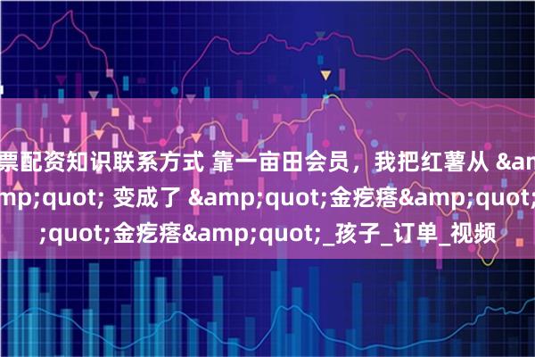 股票配资知识联系方式 靠一亩田会员，我把红薯从 &quot;土疙瘩&quot; 变成了 &quot;金疙瘩&quot;_孩子_订单_视频