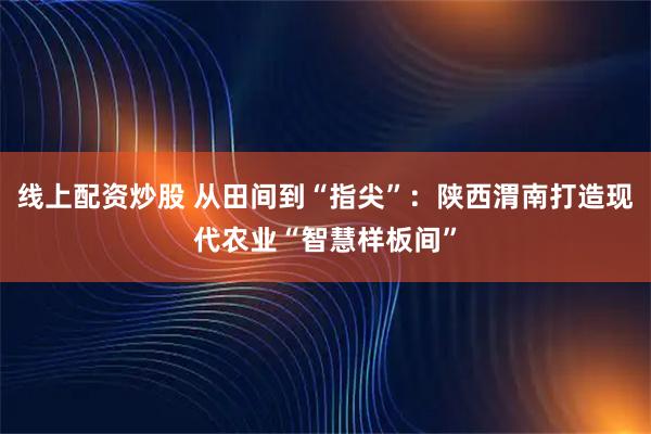 线上配资炒股 从田间到“指尖”：陕西渭南打造现代农业“智慧样板间”