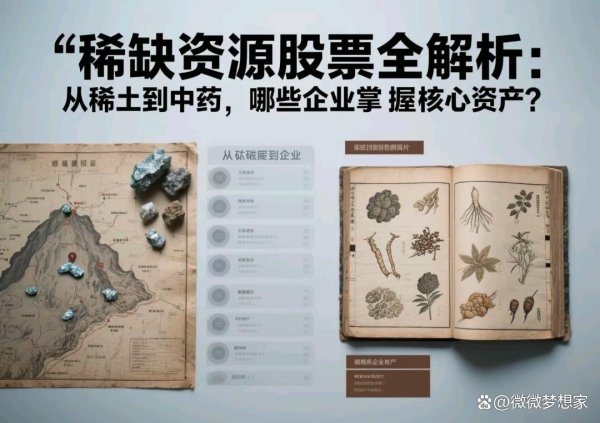 股票配资知识官网 稀缺资源股票全解析：从稀土到中药，哪些企业掌握核心资产？