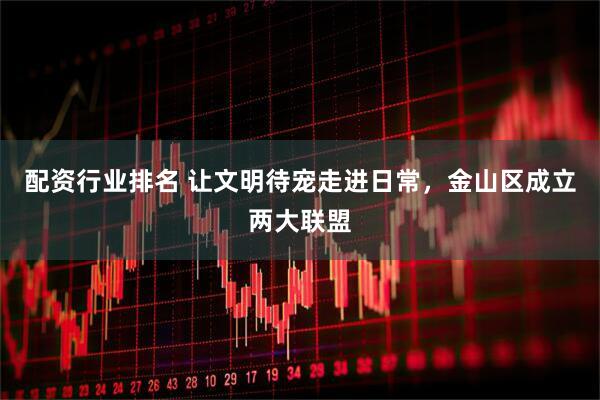 配资行业排名 让文明待宠走进日常，金山区成立两大联盟