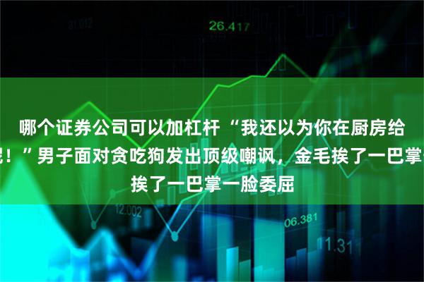 哪个证券公司可以加杠杆 “我还以为你在厨房给我做饭呢！”男子面对贪吃狗发出顶级嘲讽，金毛挨了一巴掌一脸委屈